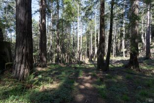 Single Family Residence, Fish Hook none, Sea Ranch, CA 95497 - 30