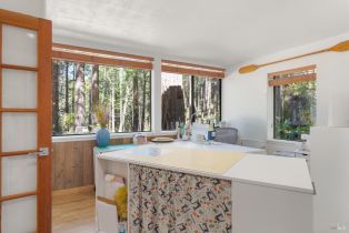 Single Family Residence, Fish Hook none, Sea Ranch, CA 95497 - 19