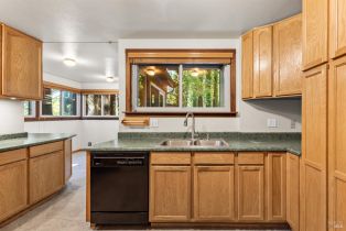 Single Family Residence,  Redwood lane, Russian River, CA 95446 - 7
