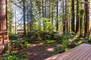 Single Family Residence,  Redwood lane, Russian River, CA 95446 - 26