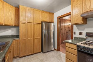 Single Family Residence,  Redwood lane, Russian River, CA 95446 - 10