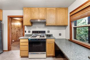 Single Family Residence,  Redwood lane, Russian River, CA 95446 - 11