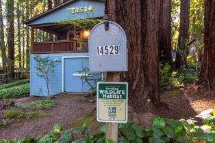 Single Family Residence,  Redwood lane, Russian River, CA 95446 - 40