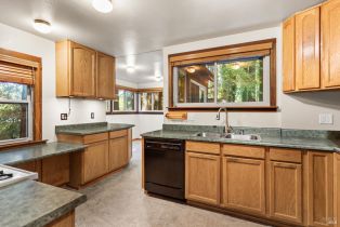 Single Family Residence,  Redwood lane, Russian River, CA 95446 - 8