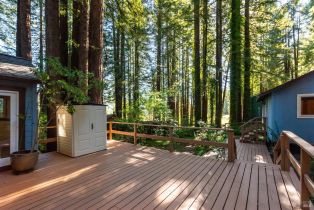 Single Family Residence,  Redwood lane, Russian River, CA 95446 - 23