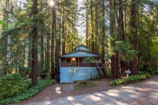 Single Family Residence,  Redwood lane, Russian River, CA 95446 - 41