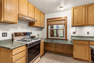 Single Family Residence,  Redwood lane, Russian River, CA 95446 - 9