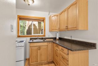 Single Family Residence,  Redwood lane, Russian River, CA 95446 - 34