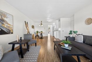 Condominium,  stony point road, Santa Rosa, CA 95401 - 13