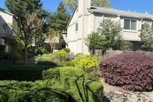 Townhouse,  Front street, Healdsburg, CA 95448 - 2