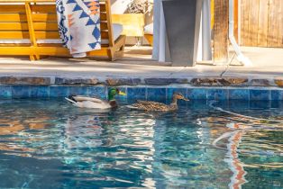 Single Family Residence,  Monte Verde drive, Santa Rosa, CA 95409 - 66