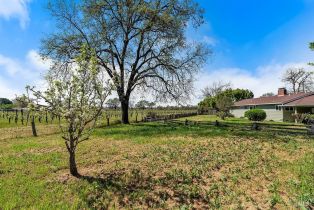Single Family Residence, Pauline court, Santa Rosa, CA 95401 - 23