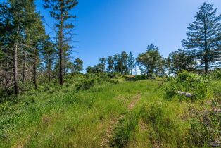 Agriculture,  Dry Creek road, Napa, CA 94558 - 76