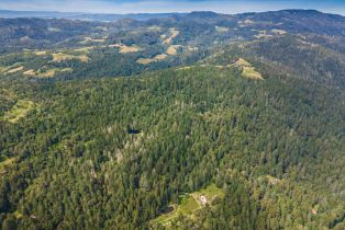 Agriculture,  Dry Creek road, Napa, CA 94558 - 18