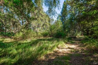 Agriculture,  Dry Creek road, Napa, CA 94558 - 44