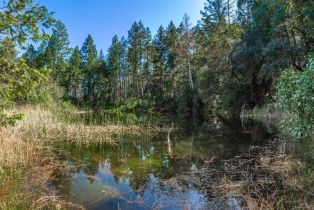 Agriculture,  Dry Creek road, Napa, CA 94558 - 59
