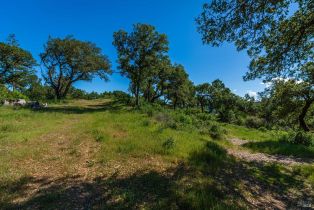 Agriculture,  Dry Creek road, Napa, CA 94558 - 88