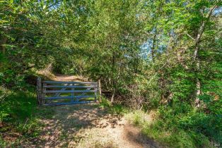 Agriculture,  Dry Creek road, Napa, CA 94558 - 34