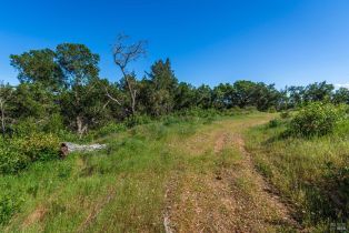 Agriculture,  Dry Creek road, Napa, CA 94558 - 92