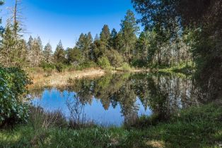 Agriculture,  Dry Creek road, Napa, CA 94558 - 62