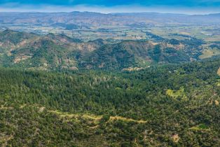 Agriculture,  Dry Creek road, Napa, CA 94558 - 9