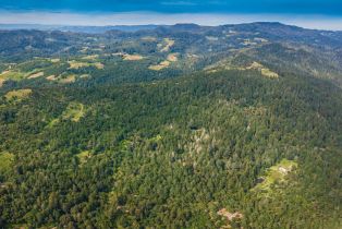 Agriculture,  Dry Creek road, Napa, CA 94558 - 19