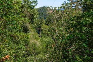 Agriculture,  Dry Creek road, Napa, CA 94558 - 37