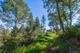 Agriculture,  Dry Creek road, Napa, CA 94558 - 75