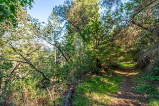 Agriculture,  Dry Creek road, Napa, CA 94558 - 71