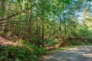 Agriculture,  Dry Creek road, Napa, CA 94558 - 30