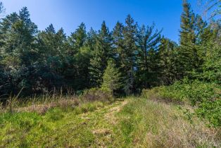 Agriculture,  Dry Creek road, Napa, CA 94558 - 52