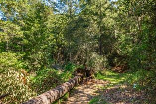 Agriculture,  Dry Creek road, Napa, CA 94558 - 66
