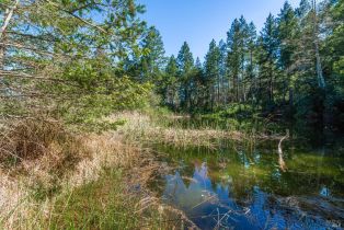 Agriculture,  Dry Creek road, Napa, CA 94558 - 58