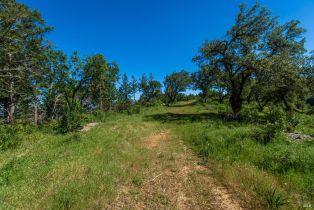 Agriculture,  Dry Creek road, Napa, CA 94558 - 86