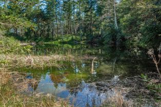 Agriculture,  Dry Creek road, Napa, CA 94558 - 57