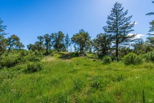 Agriculture,  Dry Creek road, Napa, CA 94558 - 77
