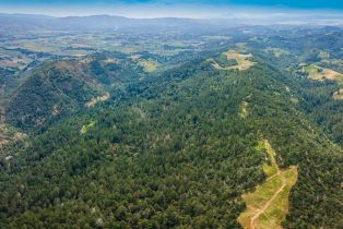 Agriculture,  Dry Creek road, Napa, CA 94558 - 13