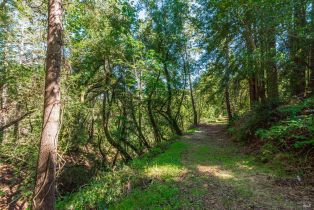Agriculture,  Dry Creek road, Napa, CA 94558 - 39