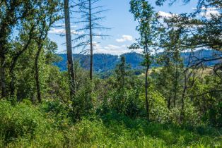 Agriculture,  Dry Creek road, Napa, CA 94558 - 83