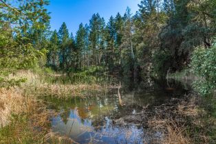 Agriculture,  Dry Creek road, Napa, CA 94558 - 60