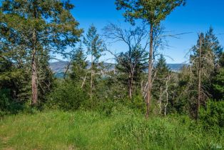 Agriculture,  Dry Creek road, Napa, CA 94558 - 98