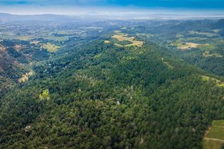Agriculture,  Dry Creek road, Napa, CA 94558 - 14