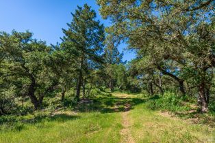 Agriculture,  Dry Creek road, Napa, CA 94558 - 97