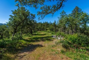Agriculture,  Dry Creek road, Napa, CA 94558 - 90