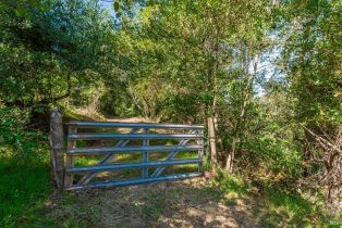 Agriculture,  Dry Creek road, Napa, CA 94558 - 35