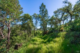 Agriculture,  Dry Creek road, Napa, CA 94558 - 74