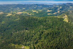 Agriculture,  Dry Creek road, Napa, CA 94558 - 16