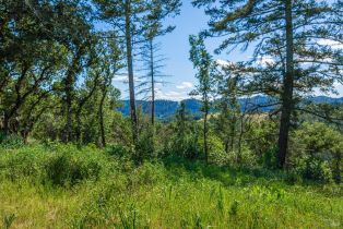 Agriculture,  Dry Creek road, Napa, CA 94558 - 82