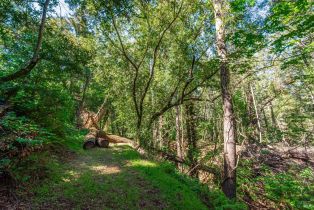 Agriculture,  Dry Creek road, Napa, CA 94558 - 38