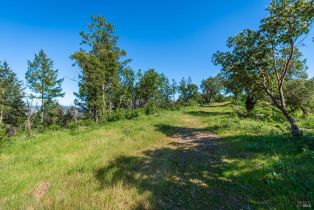 Agriculture,  Dry Creek road, Napa, CA 94558 - 85